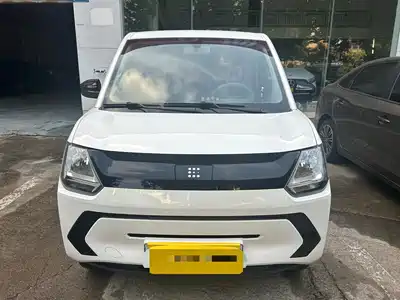 Dongfeng Fengguang MINIEV 2023