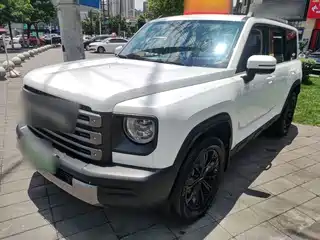 Haval Meng Long NEV 2025