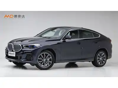 BMW BMW X6 2022