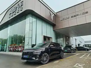 Voyah Auto Zhiyin 2025
