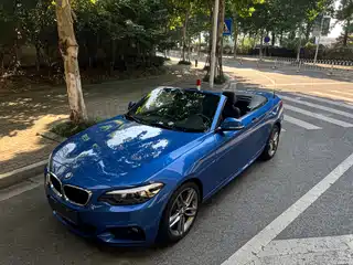 BMW 2 Series (Import) 2017