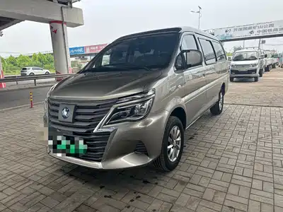 Dongfeng Fengxing Lingzhi New Energy 2025