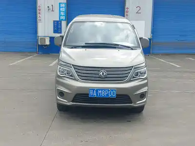 Dongfeng Fengxing Lingzhi 2020
