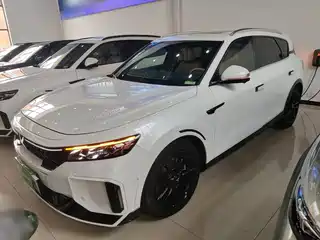 Voyah Auto FREE 2023
