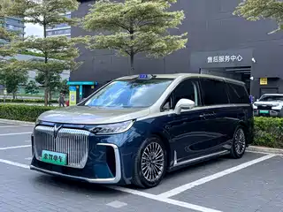 Voyah Auto Voyah Dreamer 2025