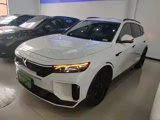 Voyah Auto FREE 2024