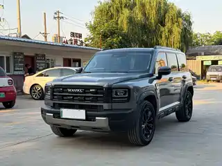 Haval Meng Long NEV 2025