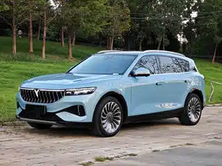 Voyah Auto FREE 2021