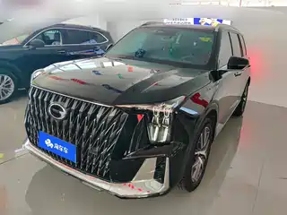GAC Trumpchi GS8 2021