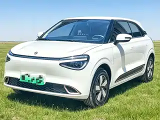 Dongfeng Yipai Nano 01 2024