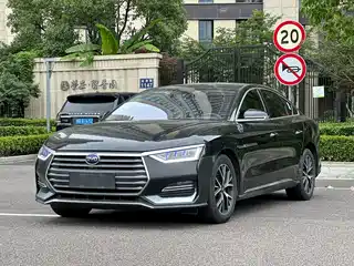 BYD BYD e9 2021