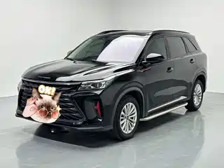 Dongfeng Fengguang Fengguang 580 2021