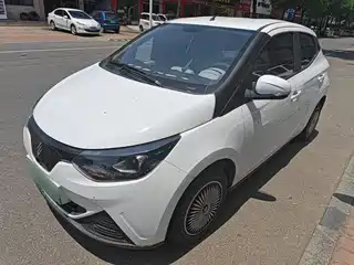 JMCG New Energy Little Kirin 2024