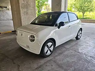 Ora Black Cat 2021