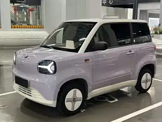Zhido Rainbow 2024