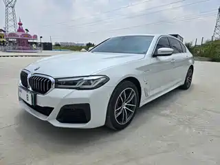 BMW 5 Series New Energy 2020