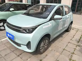 LeiDing Mango 2021