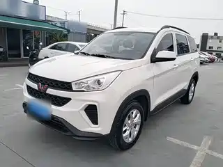Wuling Motors Wuling Hongguang S3 2019