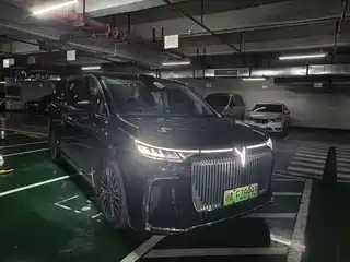 Voyah Auto Voyah Dreamer 2025