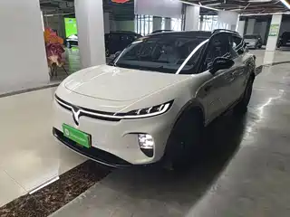 Voyah Auto Voyah Zhiyin 2024