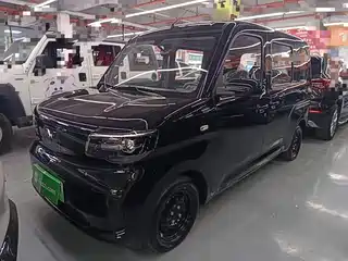 Wuling Motors Wuling Zhiguang NEV 2025