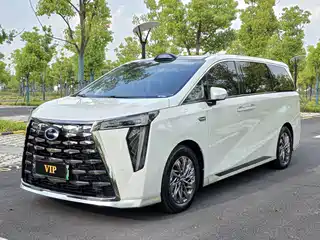 GAC Trumpchi Xiangwang M8 2025