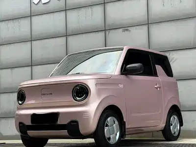Geely Galaxy Panda 2024