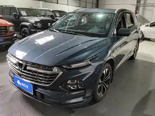 Wuling Motors Wuling Victory 2022
