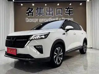Wuling Motors Xingchen 2021