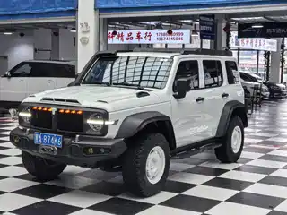 Tank 300 2024