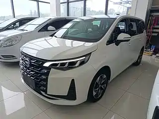 GAC Trumpchi Trumpchi M6 2021