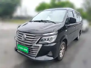 Dongfeng Fengxing Lingzhi 2020