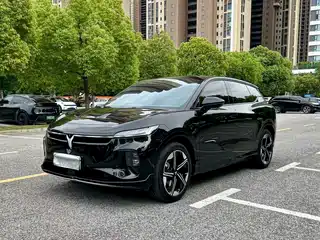 Voyah Auto Voyah Zhiyin 2024