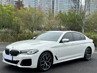 BMW 5 Series (Import) 2021