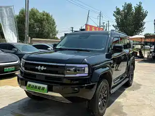 Fang Cheng Bao Leopard 5 2025