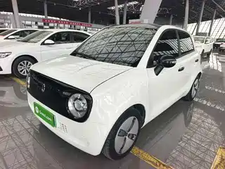Ora Black Cat 2021