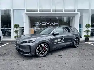 Voyah Auto FREE 2025