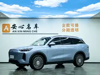 Chery Fengyun Fengyun T9 2024