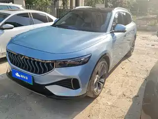 Voyah Auto FREE 2021