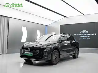Voyah Auto Voyah Zhiyin 2024