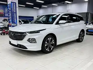 Wuling Motors Wuling Victory 2022