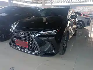 Lexus Lexus NX 2024