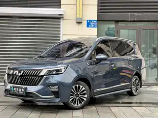 Wuling Motors Wuling Jiachen 2022