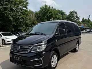 Dongfeng Fengxing Lingzhi 2019