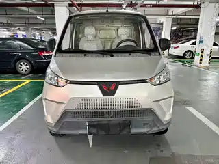 Wuling Motors Wuling EV50 2021