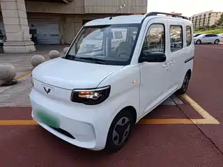 Wuling Motors Zhiguang NEV 2025