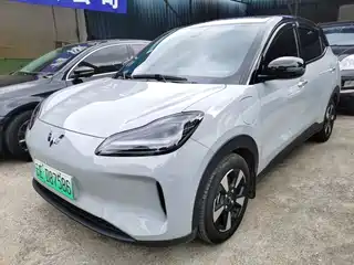 Wuling Motors Wuling Binguo PLUS 2024
