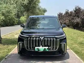 Voyah Auto Dreamer 2023