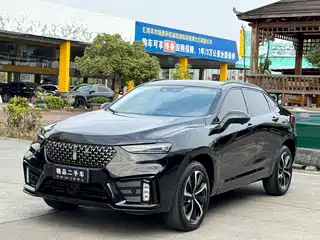 WEY Wei VV7 GT 2019