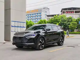 BYD Tang New Energy 2024